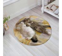 JHAOUNUK Tappeto Bagno Super Assorbente Tappetino per Doccia Microfibra,Asciugatura Rapida Tappetino Doccia per,Divertente, fratelli gattini sdraiati accanto al gatto Sleepy Heads Pe,60x60cm