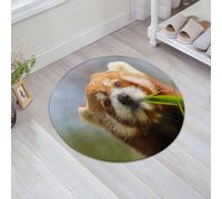 JHAOUNUK Tappeto Bagno Super Assorbente Tappetino per Doccia Microfibra,Asciugatura Rapida Tappetino Doccia per,Animale strabico Panda rosso carino Ailurus Fulgens Mangiare Guardare il bambù,60x60cm