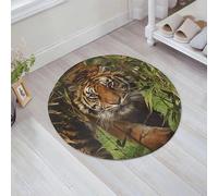 JHAOUNUK Tappeto Bagno Super Assorbente Tappetino per Doccia Microfibra,Asciugatura Rapida Tappetino Doccia per,Ritratto di una tigre asiatica,60x60cm