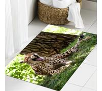 JHAOUNUK Tappeto Bagno Super Assorbente Tappetino per Doccia Microfibra,Asciugatura Rapida Tappetino Doccia per,Leopard Yawn è sdraiato nella foresta con la bocca spalancata e gli occhi chiusi,60x90cm