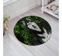 JHAOUNUK Tappeto Bagno Super Assorbente Tappetino per Doccia Microfibra,Asciugatura Rapida Tappetino Doccia per,Bellissimo ritratto di cane siberian husky in natura,60x60cm