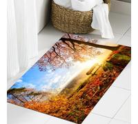 JHAOUNUK Tappeto Bagno Super Assorbente Tappetino per Doccia Microfibra,Asciugatura Rapida Tappetino Doccia per,Paesaggio autunnale con il sole che illumina calorosamente una panchina sotto un,60x90cm