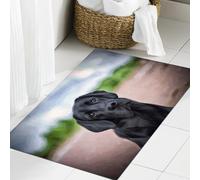 JHAOUNUK Tappeto Bagno Super Assorbente Tappetino per Doccia Microfibra,Asciugatura Rapida Tappetino Doccia per,Adorabile disegno cani Labrador Cool animali neri cane retriever fauna selvatica,50x80cm