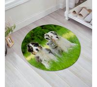 JHAOUNUK Tappeto Bagno Super Assorbente Tappetino per Doccia Microfibra,Asciugatura Rapida Tappetino Doccia per,Cuccioli di animali domestici carini Famiglia nel giardino Pastori australiani e,60x60cm