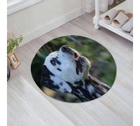 JHAOUNUK Tappeto Bagno Super Assorbente Tappetino per Doccia Microfibra,Asciugatura Rapida Tappetino Doccia per,Cane dalmata con la faccia maculata che guarda in alto,60x60cm