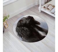 JHAOUNUK Tappeto Bagno Super Assorbente Tappetino per Doccia Microfibra,Asciugatura Rapida Tappetino Doccia per,Cocker Spaniel Cane Ritratto Dipinto Animale Artista Canino Mammifero Animale do,60x60cm
