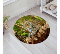 JHAOUNUK Tappeto Bagno Super Assorbente Tappetino per Doccia Microfibra,Asciugatura Rapida Tappetino Doccia per,Leone albino su sfondo di erba verde nello zoo,60x60cm