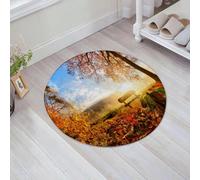 JHAOUNUK Tappeto Bagno Super Assorbente Tappetino per Doccia Microfibra,Asciugatura Rapida Tappetino Doccia per,Paesaggio autunnale con il sole che illumina calorosamente una panchina sotto un,60x60cm