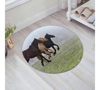 JHAOUNUK Tappeto Bagno Super Assorbente Tappetino per Doccia Microfibra,Asciugatura Rapida Tappetino Doccia per,Cavalli, pochi cavalli da corsa sull'erba nella nebbiosa giornata di Forza,60x60cm