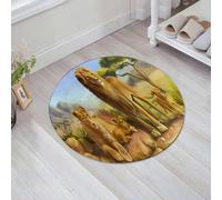 JHAOUNUK Tappeto Bagno Super Assorbente Tappetino per Doccia Microfibra,Asciugatura Rapida Tappetino Doccia per,Animali della foresta africana arte leoni mamma papà e bambini fauna selvatica p,60x60cm