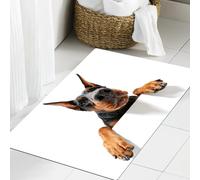 JHAOUNUK Tappeto Bagno Super Assorbente Tappetino per Doccia Microfibra,Asciugatura Rapida Tappetino Doccia per,Vado da te. Ritratto ravvicinato di un doberman pinscher in arrampicata su sfond,60x90cm
