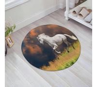 JHAOUNUK Tappeto Bagno Super Assorbente Tappetino per Doccia Microfibra,Asciugatura Rapida Tappetino Doccia per,Cavallo andaluso con una maestosa nuvola di polvere sullo sfondo foto forte segn,60x60cm