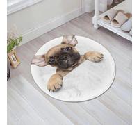 JHAOUNUK Tappeto Bagno Super Assorbente Tappetino per Doccia Microfibra,Asciugatura Rapida Tappetino Doccia per,Bulldog, cucciolo giovane con in primo piano Foto migliore amico,60x60cm
