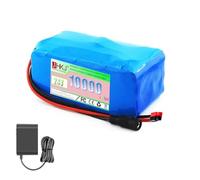 JHKJ Batteria agli ioni di Litio da 24 V 10 Ah Batteria agli ioni di Litio da 29,4 V 10 Ah di Ricambio per Motore da 0 a 300 W con caricabatteria,Anderson