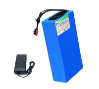 JHKJ Batteria al Litio per Bici elettrica da 48 Volt, Batteria agli ioni di Litio per Moto elettrica da 48 V e 50 Ah, per Motore da 0 a 2500 W per tricicli elettrici.,Anderson,48V 50Ah