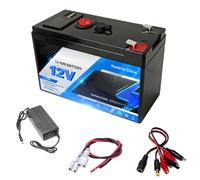 JHKJ Batteria al Litio Portatile per Esterni da 12 V 15 Ah