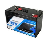 JHKJ Batteria al Litio Portatile per Esterni da 12 V 15 Ah