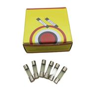 JHPWKRMU 100 Pezzi/Scatola Tubo Fusibile 5X20 6X30 5 * 20mm 6 * 30mm L250V F1A 2A 3 4 5 6 10 15 20 25 30A(30A)
