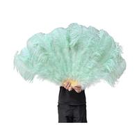 JHSDHYD Ventaglio da Danza in Piume 130CM/100CM Ventaglio Bianco Grande con Piume Soffici 13 Ossa Portatile for spettacoli di Danza Carnevale e Artigianato Fai da Te(33 Mint Green,Big Fan 1Pair(Two))