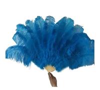 JHSDHYD Ventaglio da Danza in Piume Ventaglio di Piume Naturali 13 Ossa Grande ventaglio Pieghevole Portatile for spettacoli Carnevale, ventagli da Ballo, Feste, sul palco(Blue01)