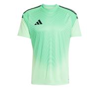 Maglia Goalkeeper Tiro 25 Competition Glory Mint L