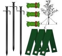 JIAMIAN 9PCS Kit Cinghia Albero, Kit Palo Albero, Ancoraggio Di Supporto Albero, 3 Pali Albero 30cm, Kit Di Tronco Metallico Per Fissare Le Piante Per Promuovere Una Crescita Sana