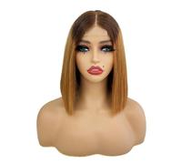 JIANBOHAIRS Parrucca Bob da 10 pollici con capelli umani, 2x6, parrucca frontale in pizzo, densità 250 for donne nere for Thinning Hair(Brown+dark blonde)