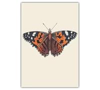 JIANGSHANDAIYOUCAIREN Vintage moderno stile farfalle colorate scienza animale e istruzione Poster tela pittura arte a parete stampe immagine home decor senza telaio-F_50x70cm
