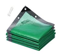 JIAOCKJIAO Telo Trasparente Griglia Verde, Telo a Rete Quadrato Impermeabile con Occhielli, Tende da Giardino In Plastica per Piante da Esterno cn Angoli Rinforzati(31x33ft/9.5x10m)