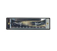 Jiawu Armonica a Bocca Standard da 20 Accordi per Bambini, Armonica Blu Leggera per Principianti, Portatile Facile da Suonare per Viaggi, Alluminio Resistente e Acciaio Inossidabile (SILVER)