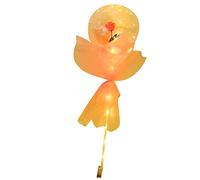 Jiawu Bouquet di Rose con Palloncini Luminosi con Luci a LED, Regali di San in Plastica Trasparente per Lei, Bouquet Decorativo Romantico per la Festa di Anniversario di Matrimonio (PINK)