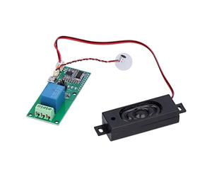 Jiawu HLKV20 Modulo di Riconoscimento Vocale Personalizzato Wake Word Modulo di Controllo Vocale 32bit RISC DSP FPU Smart Home, Casa Intelligente Regalo Fai da Te