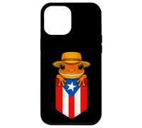 Jibaro Coqui Frog Puerto Rico Flag Buricua Pocket Borinquen Custodia per iPhone 12 Pro Max