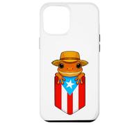 Jibaro Coqui Frog Puerto Rico Flag Buricua Pocket Borinquen Custodia per iPhone 12 Pro Max