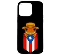 Jibaro Coqui Frog Puerto Rico Flag Buricua Pocket Borinquen Custodia per iPhone 15 Pro Max