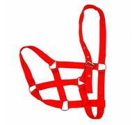 JicSuXi Testiera Regolabile con Fibbia in Nylon Museruola con Anelli Metallici Visibile per Proprietari di Cavalli, Cavalieri, Conduzione del