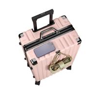 Jidanmian ABS Hardside Luggage,Lightweight Hardside Suitcase with Spinner Wheels/Sturdy Combination Lock,Waterproof Large Checked Luggage for Travel(Pink,26")