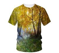 JIFENLI T-Shirts 3D da Uomo Maglietta Estate Paesaggio Pittura A Olio Arte Grafica T Shirt Moda Letteraria Gioventù Casual Tees Uomini Stampato O-Collo Top