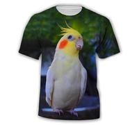 JIFENLI T-Shirts 3D da Uomo Maglietta Summer Fashion all Kinds of Birds T Shirt for Men Fun Printed Round Neck Tees Hip Hop Harajuku Streetwear Top