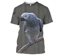 JIFENLI T-Shirts 3D da Uomo Maglietta Summer Fashion Fun Parrot Graphic T Shirts Men 3D Printed Animal Pattern Tees Tops Leisure Round Neck Short Sleeve Strretwear