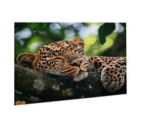 Jigsaw Puzzle, 2000 Pezzi Puzzle Classici, Animali Puzzle Rilassamento Intelligence, Mpossibile Difficile Puzzle Impegnativo per Adulti Puzzle Gioco Familiare, Regalo per Amore Il Ghepardo fr0-868