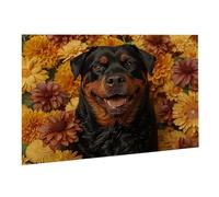 Jigsaw Puzzle, 6000 Pezzi Puzzle Classici, Cane Puzzle Rilassamento Intelligence, Mpossibile Difficile Puzzles impegnativo per adulti Puzzles per Gioco Familiare, Regalo per Amore Amico Fiori 3 K0F463