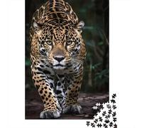 Jigsaw Puzzle Per Adulti E Bambini 1000 Pezzi Jaguar nella giungla Puzzle 52x38cm/1000pcs Decompressione E Regalo Puzzle Giochi Per Famiglia Cardboard