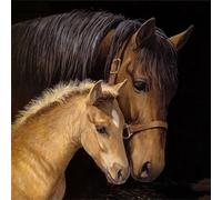 Jigsaw Puzzles For Adults 100 Piece,35x35 cm puzzle for adults Educational Game Challenge Toy 100 Pieces puzzles for Adult Home Decoration Puzzle (Animal Horses)
