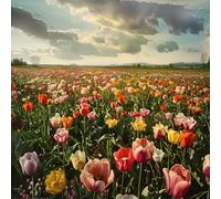 Jigsaw Puzzles For Adults 150 Piece,65x65 cm puzzle for adults Educational Game Challenge Toy 150 Pieces puzzles for Adult Home Decoration Puzzle (Flower Fields Scenery)