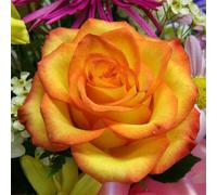 Jigsaw Puzzles For Adults 150 Piece,65x65 cm puzzle for adults Educational Game Challenge Toy 150 Pieces puzzles for Adult Home Decoration Puzzle (Yellow Roses Flowers)