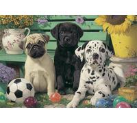 Jigsaw Puzzles for Adults 30 Pieces Dog Garden Ball, 25x20cm 30 pieces puzzles for adults, Educational Game Challenge Toy, Impossible Puzzle for Family Activity