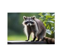 Jigsaw Puzzles1000 Pezzi Jkiegoq Simpatico Raccoon Stampato Educativo Intellettuale Puzzle in legno, Divertenti Puzzle, Gioco antistress