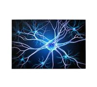 Jigsaw Puzzles1000 Pezzi Whjdpp Estensioni Neurone Modello Educativo Intellettuale Puzzle in legno, Divertenti Puzzle, Stress Alleviare Puzzle