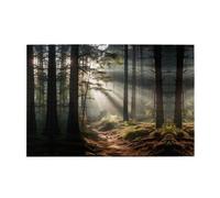 Jigsaw Puzzles1000 Pezzi Whjdpp Luce nella Foresta Modello Educativo Intellettuale Puzzle in legno, Divertenti Puzzle, Stress Alleviare Puzzle